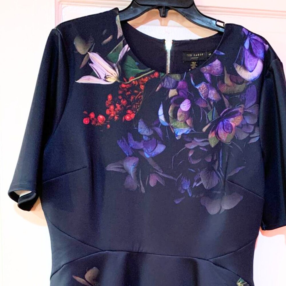 TED BAKER FIT AND FLARE DRESS (UK, Size 5; US, Size 10-12)